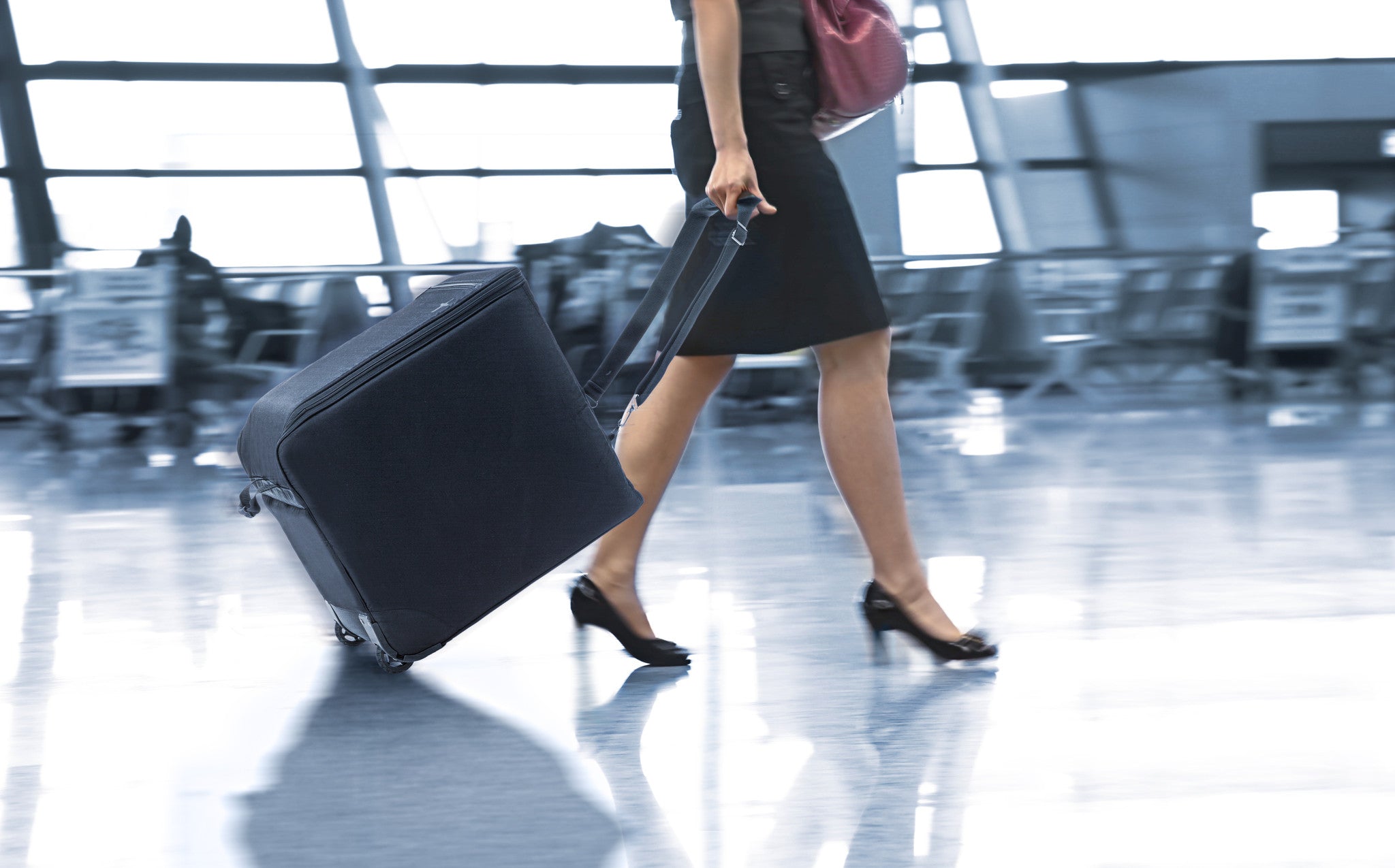 WINE CHECK LUGGAGE BLACK + LAZENNE BOTTLE PROTECTOR FOR 12 LARGE BOTTLES - Lazenne - 2