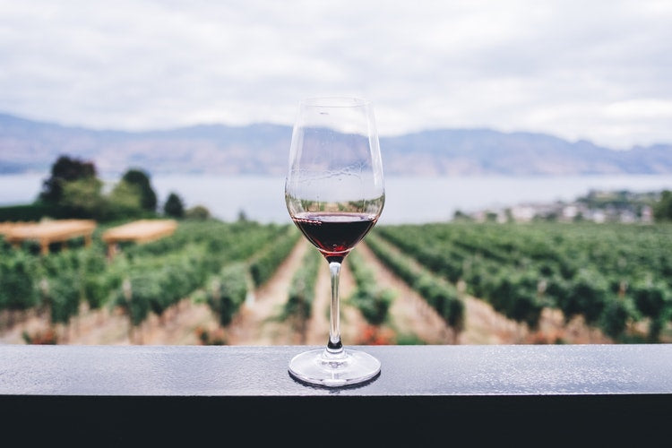 Wine Travel in 2019: Where to Go and How to Do It!